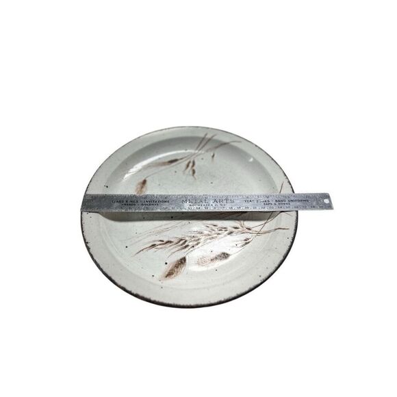 Stonehenge Midwinter Wild Oats 10 1/2" Dinner Plates Set of 2 Some Wear - Picture 7 of 9